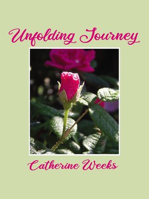 cover image of Unfolding Journey